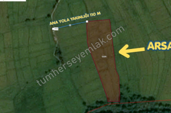 Çatalca Ormanlı Satılık Tarla