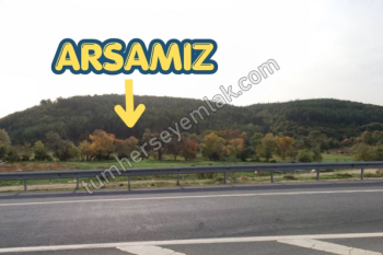 Çatalca Kızılcaali Satılık Tarla